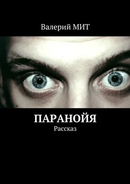 Валерий МИТ Паранойя. Рассказ обложка книги