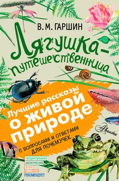 Всеволод Гаршин Лягушка-путешественница. С вопросами и ответами для почемучек обложка книги