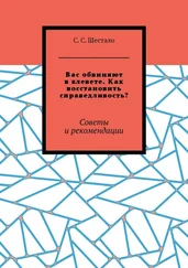 С. Шестало - Вас обвиняют в клевете. Как восстановить справедливость? Советы и рекомендации