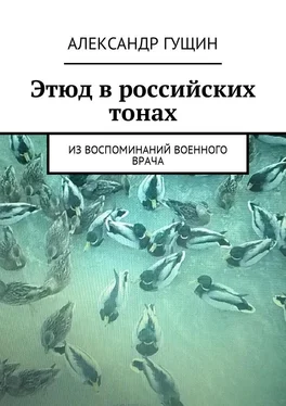 Александр Гущин Этюд в российских тонах. Из воспоминаний военного врача обложка книги