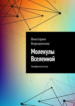 Виктория Бородинова Молекулы Вселенной. Экофантастика обложка книги