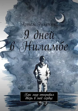 Артем Гуменный 9 дней в Ниламбе. Как мир открывал дверь в моё сердце обложка книги