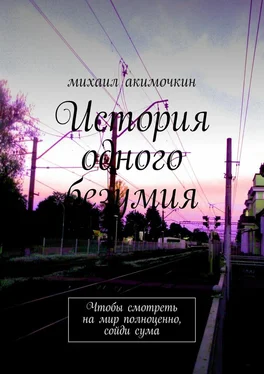 Михаил Акимочкин История одного безумия. Чтобы смотреть на мир полноценно, сойди сума обложка книги