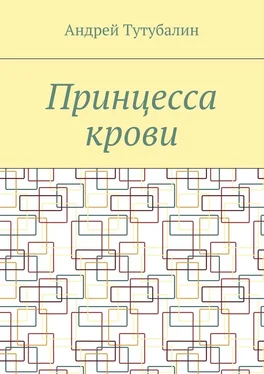 Андрей Тутубалин Принцесса крови обложка книги