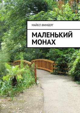 Майкл Финберг Маленький монах обложка книги