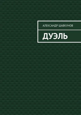 Александр Шавкунов Дуэль обложка книги