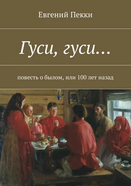 Евгений Пекки Гуси, гуси… Повесть о былом, или 100 лет назад обложка книги