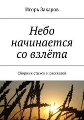 Игорь Захаров - Небо начинается со взлёта. Сборник стихов и рассказов