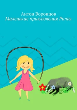 Антон Воронцов Маленькие приключения Риты обложка книги