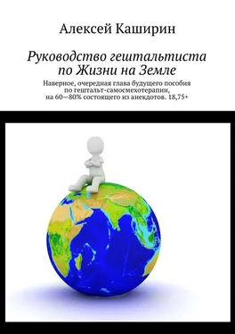 Алексей Каширин Руководство гештальтиста по Жизни на Земле обложка книги