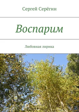 Сергей Серёгин Воспарим. Любовная лирика обложка книги