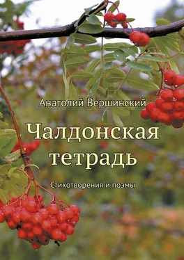 Анатолий Вершинский Чалдонская тетрадь. Стихотворения и поэмы обложка книги