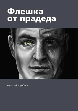 Анатолий Кораблев Флешка от прадеда обложка книги