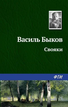 Василий Быков Свояки обложка книги