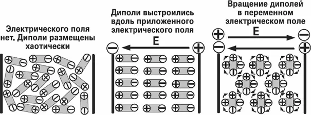 Воздействие электрического поля на диполи Учтите что за один период волны - фото 22