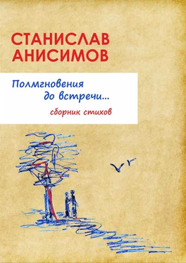 Станислав Анисимов Полмгновения до встречи… обложка книги