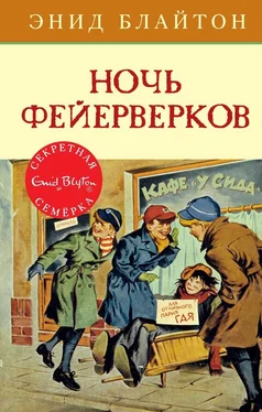 Энид Блайтон Ночь фейерверков обложка книги