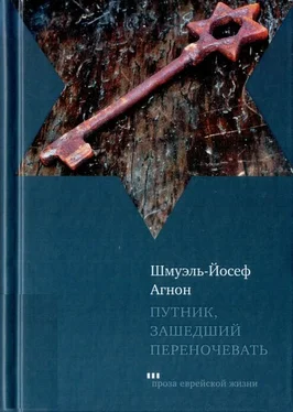 Шмуэль-Йосеф Агнон Путник, зашедший переночевать обложка книги