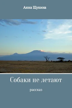 Анна Щукина Собаки не летают обложка книги