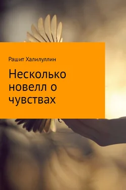 Рашит Халилуллин Несколько новелл о чувствах обложка книги