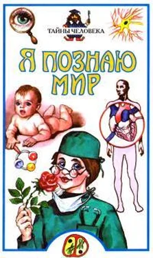 Борис Сергеев Я познаю мир. Тайны человека обложка книги