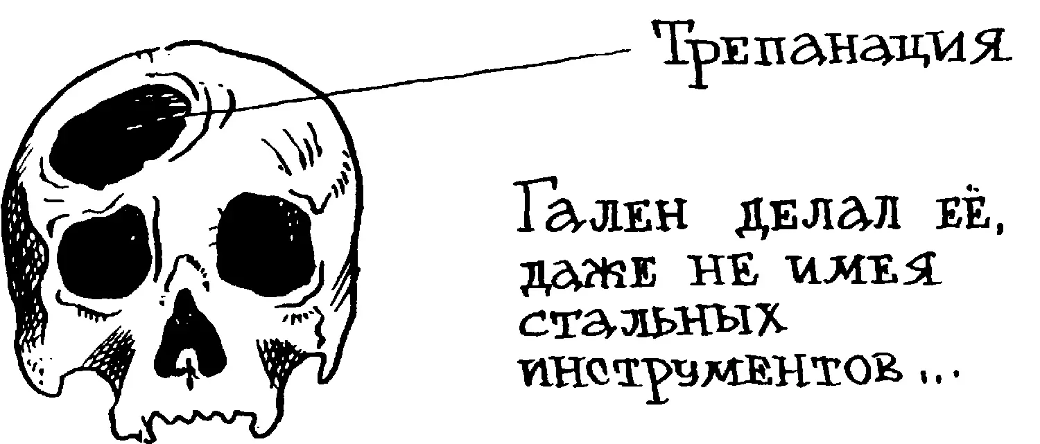 Три шкуры Самым выдающимся анатомом эпохи Возрождения был Андрей Везалий Он - фото 5