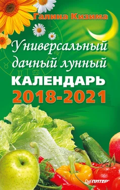 Галина Кизима Универсальный дачный лунный календарь 2018-2021 обложка книги