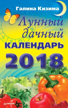 Галина Кизима Лунный дачный календарь на 2018 год обложка книги