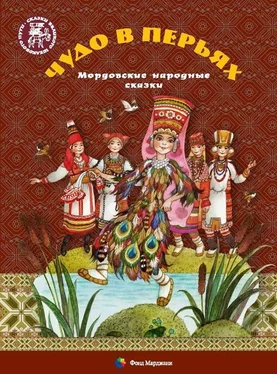Алена Каримова Чудо в перьях. Мордовские народные сказки обложка книги