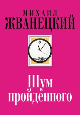 Михаил Жванецкий Шум пройденного (сборник) обложка книги