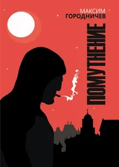 Максим Городничев - Помутнение