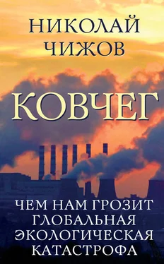 Николай Чижов Ковчег. Чем нам грозит глобальная экологическая катастрофа обложка книги