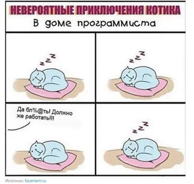 В его жизни было много женщин мама бабушка кошка и Клава т е клавиатура - фото 3