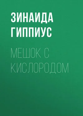 Зинаида Гиппиус Мешок с кислородом обложка книги