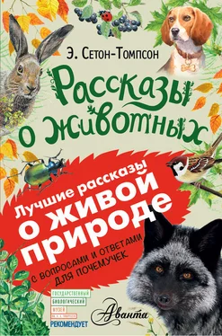 Эрнест Сетон-Томпсон Рассказы о животных. С вопросами и ответами для почемучек обложка книги