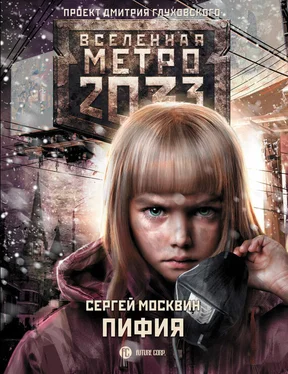 Сергей Москвин Метро 2033: Пифия обложка книги