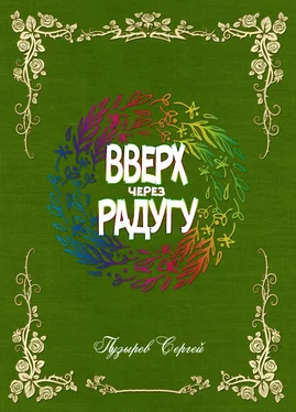 Сергей Пузырев Вверх через радугу обложка книги