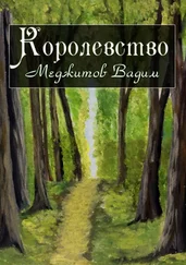 Вадим Меджитов - Королевство