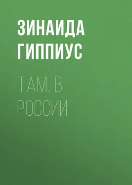 Зинаида Гиппиус Там, в России обложка книги