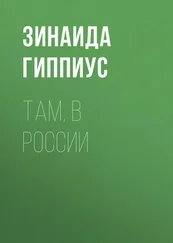 Зинаида Гиппиус - Там, в России