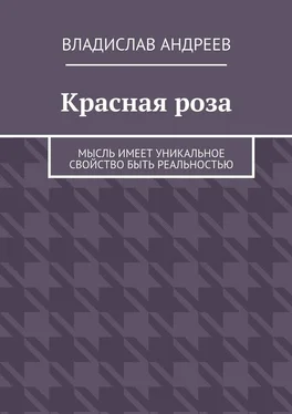 Владислав Андреев Красная роза. Мысль имеет уникальное свойство быть реальностью обложка книги