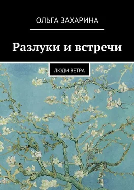 Ольга Захарина Разлуки и встречи. Люди ветра обложка книги