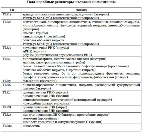 Ниже будут представлены все собранные сведения о TLR в виде проведенных - фото 1