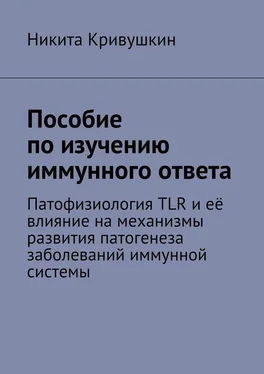 Никита Кривушкин Пособие по изучению иммунного ответа. Патофизиология TLR и её влияние на механизмы развития патогенеза заболеваний иммунной системы обложка книги