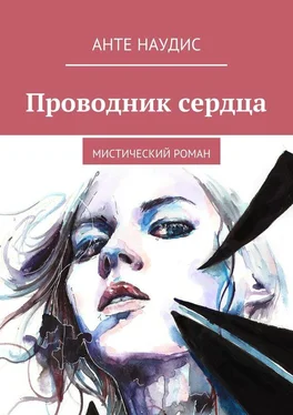 Анте Наудис Проводник сердца. Мистический роман обложка книги