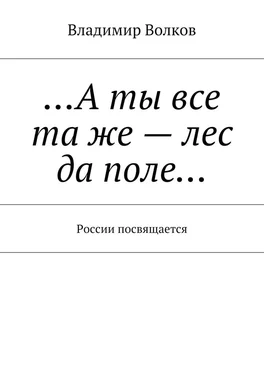 Владимир Волков …А ты все та же – лес да поле… России посвящается обложка книги