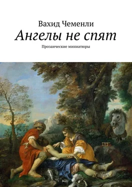 Вахид Чеменли Ангелы не спят. Прозаические миниатюры обложка книги