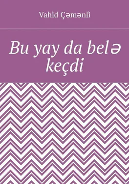 Vahi̇d Çəmənli̇ Bu yay da belə keçdi̇ обложка книги