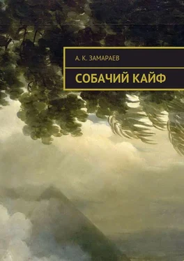 А. Замараев Собачий кайф обложка книги