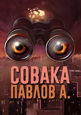 Павлов А. Совака обложка книги